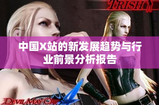 中国X站的新发展趋势与行业前景分析报告
