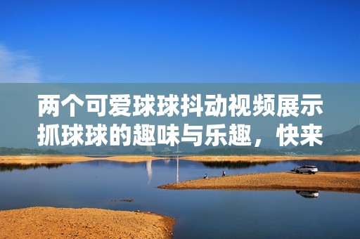 两个可爱球球抖动视频展示抓球球的趣味与乐趣，快来一起体验吧！