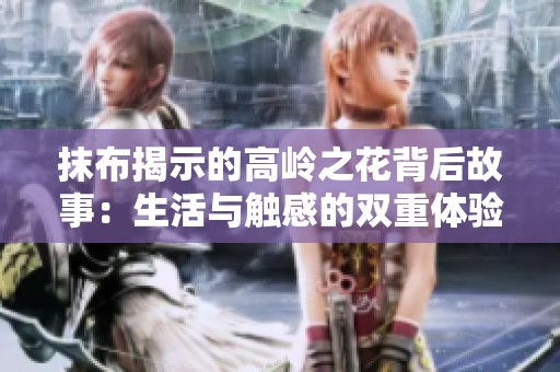 抹布揭示的高岭之花背后故事：生活与触感的双重体验