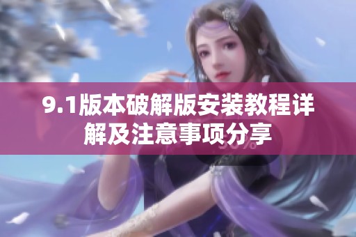9.1版本破解版安装教程详解及注意事项分享