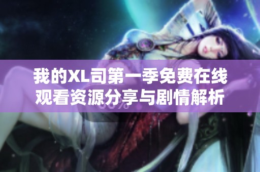 我的XL司第一季免费在线观看资源分享与剧情解析