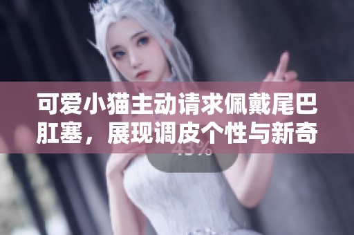 可爱小猫主动请求佩戴尾巴肛塞，展现调皮个性与新奇体验