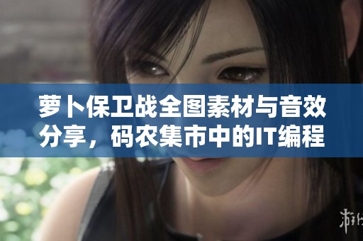 萝卜保卫战全图素材与音效分享，码农集市中的IT编程优质资源推荐