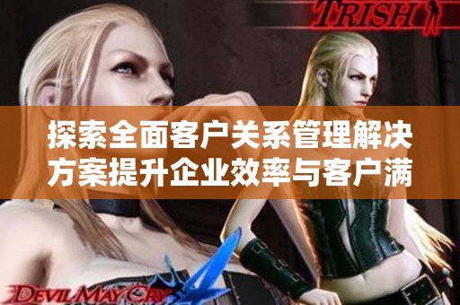 探索全面客户关系管理解决方案提升企业效率与客户满意度