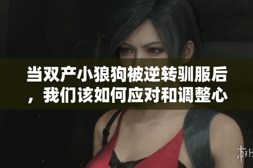 当双产小狼狗被逆转驯服后，我们该如何应对和调整心态呢