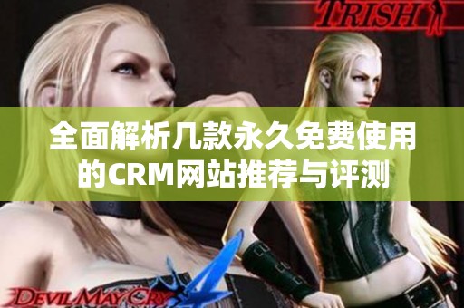 全面解析几款永久免费使用的CRM网站推荐与评测