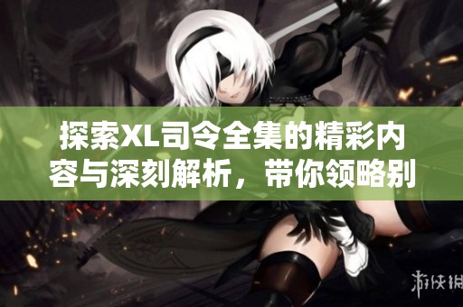探索XL司令全集的精彩内容与深刻解析，带你领略别样的故事魅力