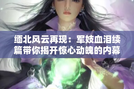 缅北风云再现：军妓血泪续篇带你揭开惊心动魄的内幕故事