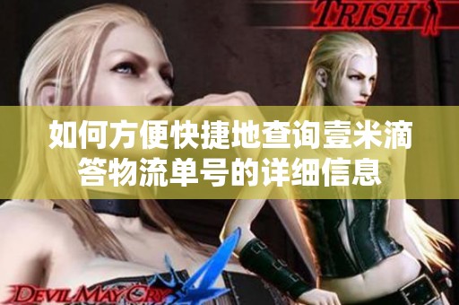如何方便快捷地查询壹米滴答物流单号的详细信息