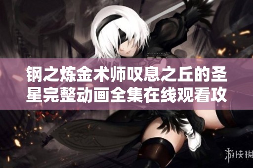 钢之炼金术师叹息之丘的圣星完整动画全集在线观看攻略与分享