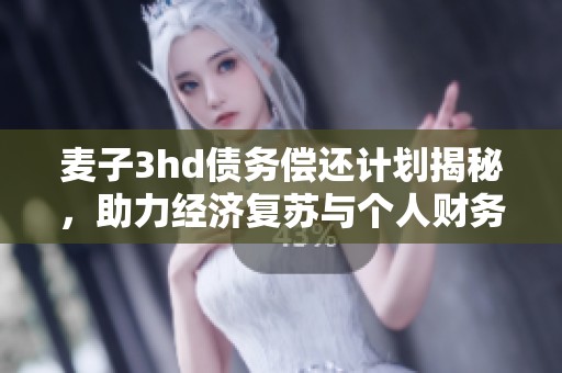 麦子3hd债务偿还计划揭秘，助力经济复苏与个人财务健康