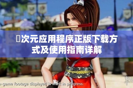 囧次元应用程序正版下载方式及使用指南详解