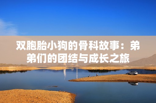 双胞胎小狗的骨科故事：弟弟们的团结与成长之旅