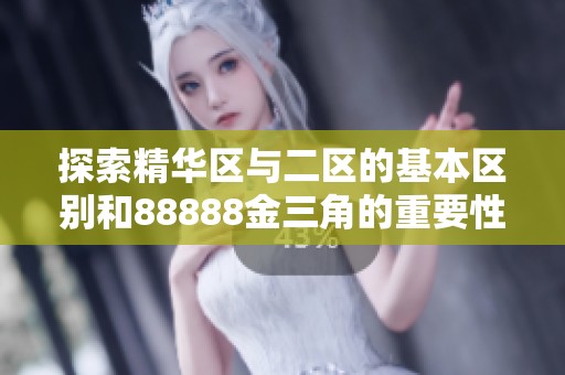 探索精华区与二区的基本区别和88888金三角的重要性分析