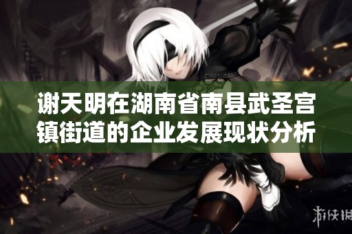 谢天明在湖南省南县武圣宫镇街道的企业发展现状分析