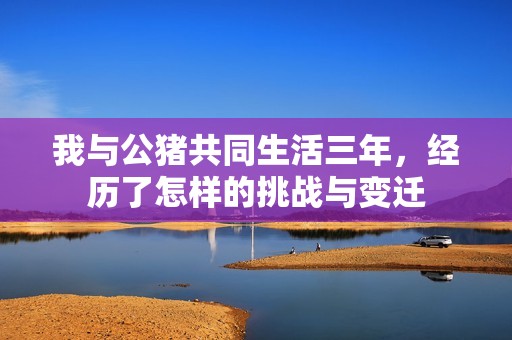 我与公猪共同生活三年，经历了怎样的挑战与变迁