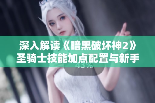 深入解读《暗黑破坏神2》圣骑士技能加点配置与新手指导