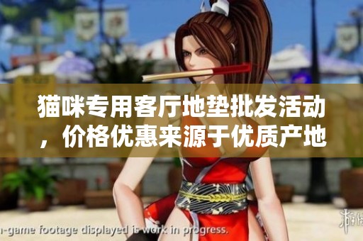 猫咪专用客厅地垫批发活动，价格优惠来源于优质产地