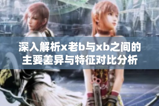 深入解析x老b与xb之间的主要差异与特征对比分析