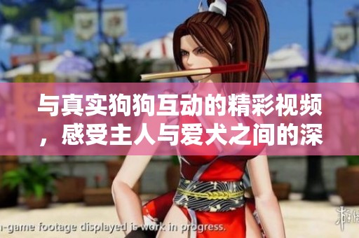 与真实狗狗互动的精彩视频，感受主人与爱犬之间的深厚情感
