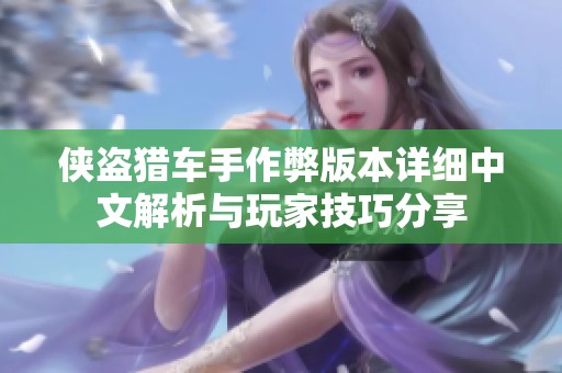 侠盗猎车手作弊版本详细中文解析与玩家技巧分享