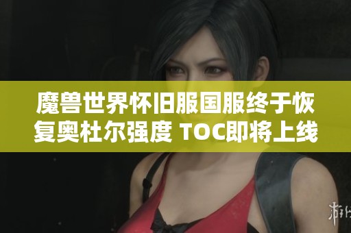 魔兽世界怀旧服国服终于恢复奥杜尔强度 TOC即将上线期待更多挑战