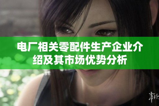 电厂相关零配件生产企业介绍及其市场优势分析