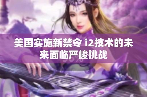 美国实施新禁令 i2技术的未来面临严峻挑战