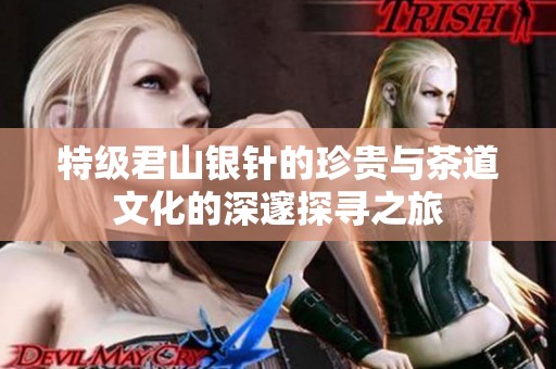 特级君山银针的珍贵与茶道文化的深邃探寻之旅