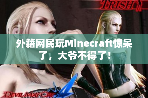 外籍网民玩Minecraft惊呆了，大爷不得了！
