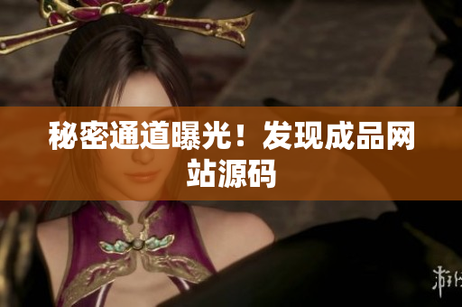 秘密通道曝光！发现成品网站源码