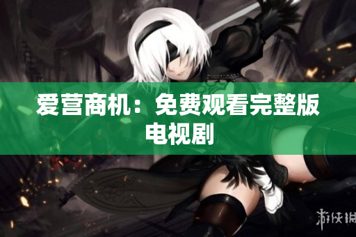 爱营商机：免费观看完整版电视剧