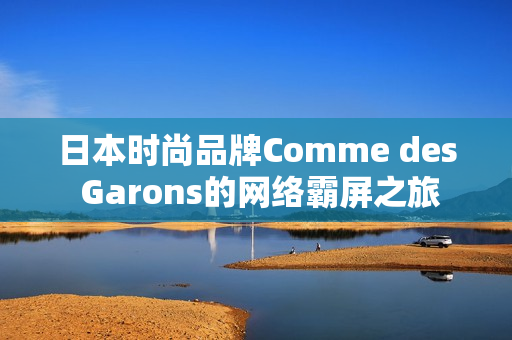 日本时尚品牌Comme des Garons的网络霸屏之旅