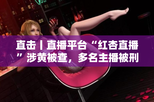 直击丨直播平台“红杏直播”涉黄被查，多名主播被刑拘