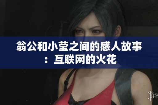 翁公和小莹之间的感人故事：互联网的火花