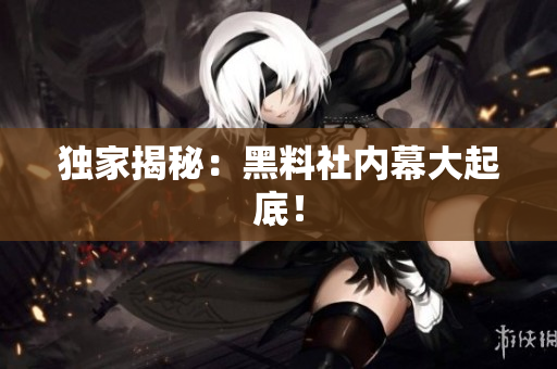 独家揭秘：黑料社内幕大起底！