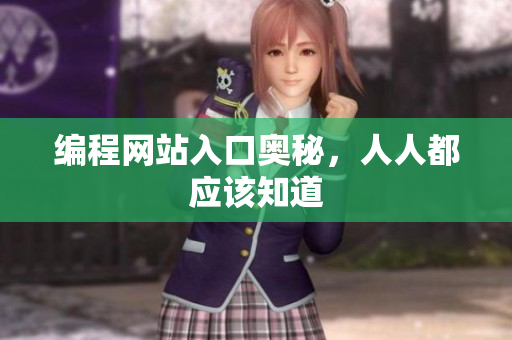 编程网站入口奥秘，人人都应该知道