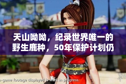 天山呦呦，纪录世界唯一的野生鹿种，50年保护计划仍在持续