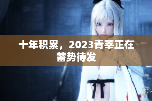 十年积累，2023青莘正在蓄势待发