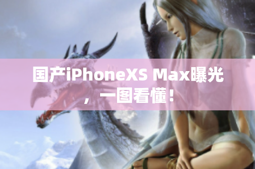 国产iPhoneXS Max曝光，一图看懂！
