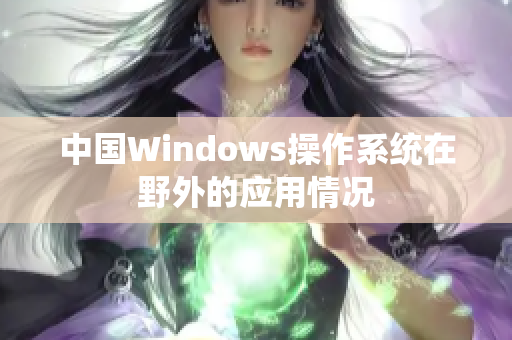 中国Windows操作系统在野外的应用情况
