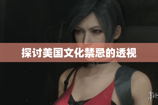 探讨美国文化禁忌的透视