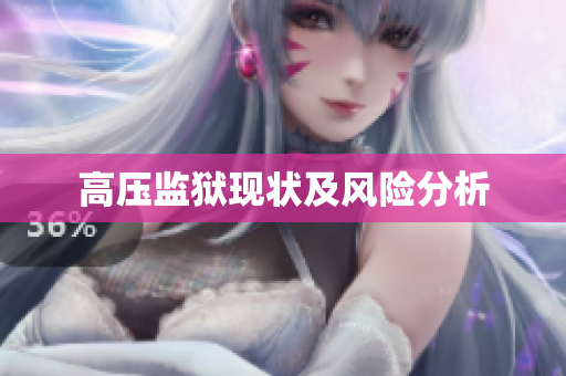 高压监狱现状及风险分析