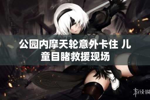 公园内摩天轮意外卡住 儿童目睹救援现场