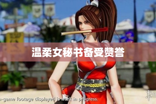 温柔女秘书备受赞誉