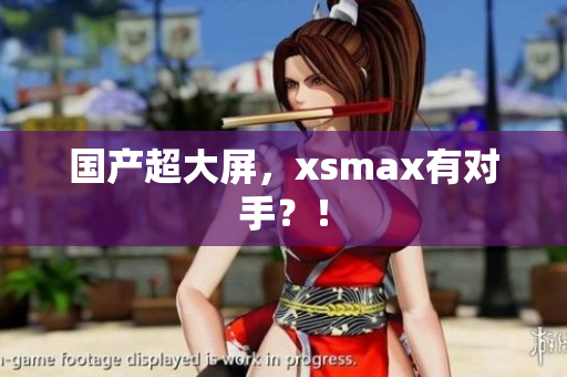 国产超大屏，xsmax有对手？！