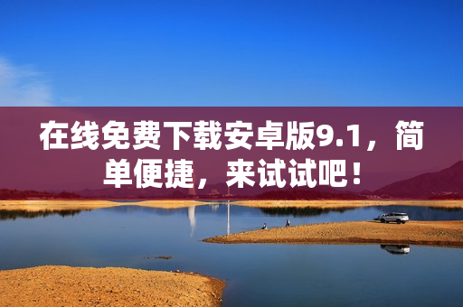 在线免费下载安卓版9.1，简单便捷，来试试吧！