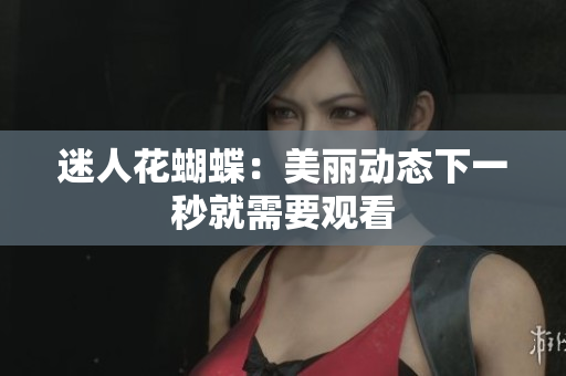迷人花蝴蝶：美丽动态下一秒就需要观看