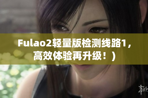 Fulao2轻量版检测线路1，高效体验再升级！)