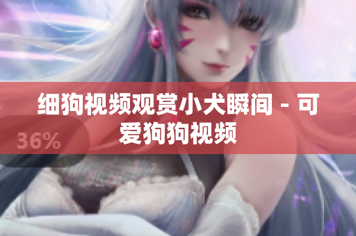 细狗视频观赏小犬瞬间 - 可爱狗狗视频